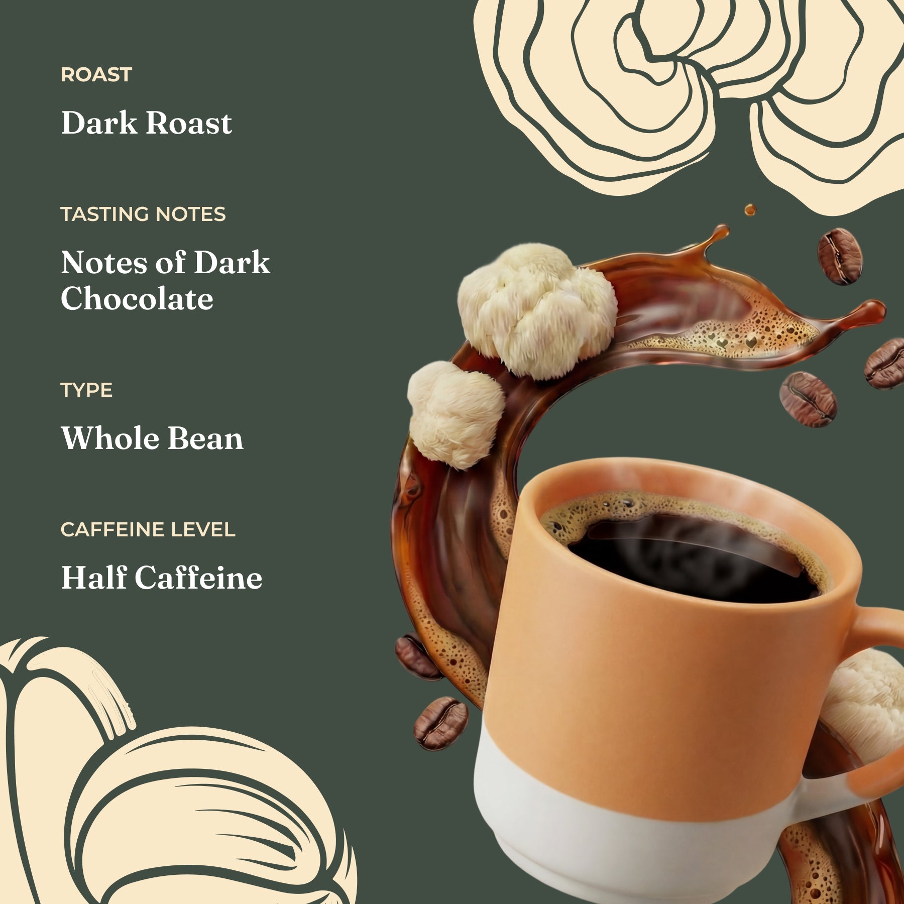 focus-half-caf-whole-bean-coffee-b9 Taste_-_Focus_Half_Caf_Whole_Bean_d1d02c35-db99-498e-ac43-813730db6953.jpg