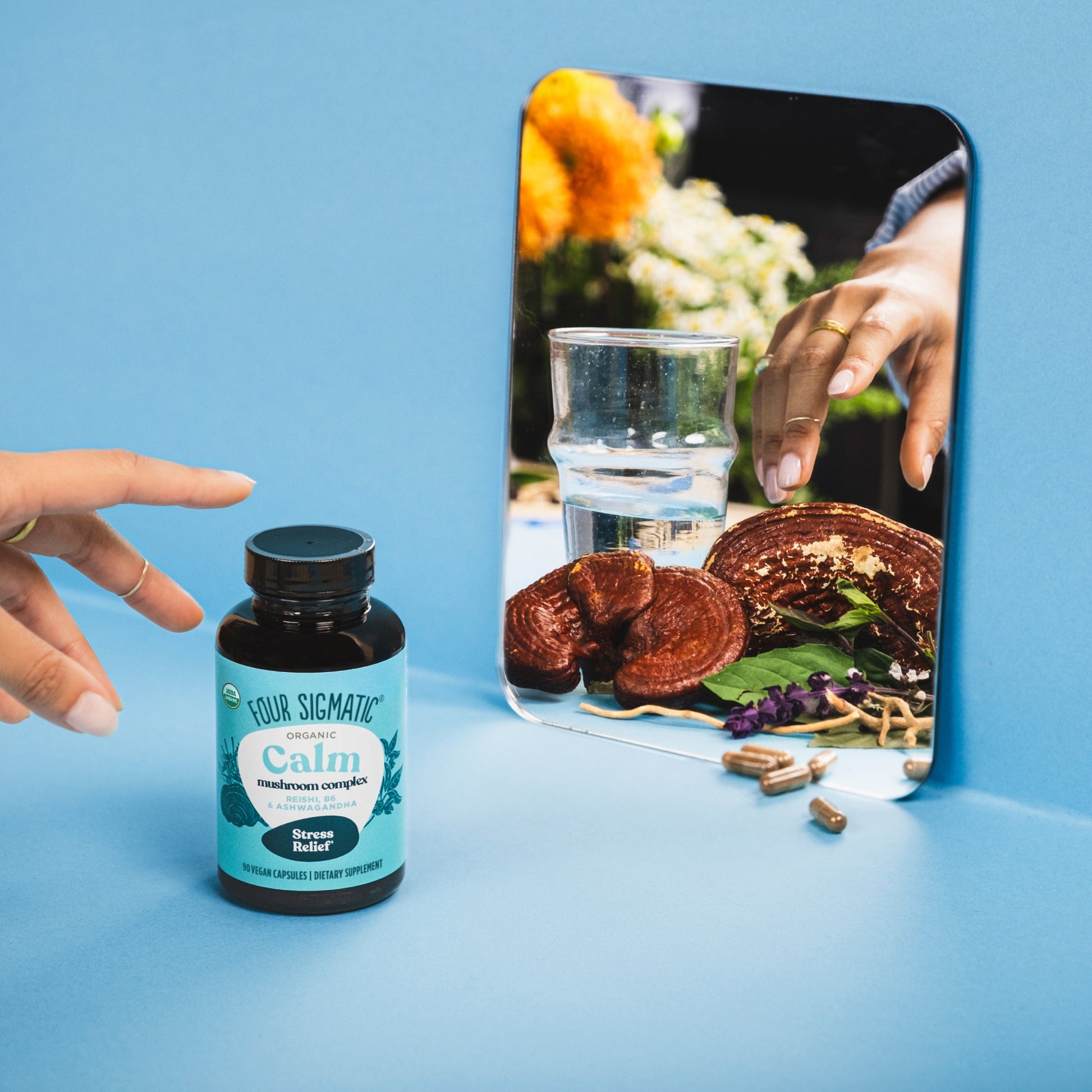 calm-capsules-w1 calm-capsule-1.jpg
