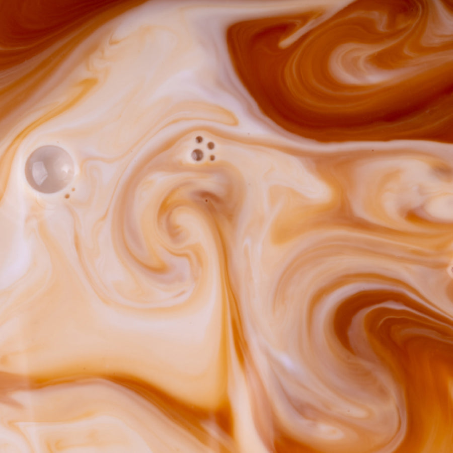protein-coffee-x6 protein-coffee-taste.jpg